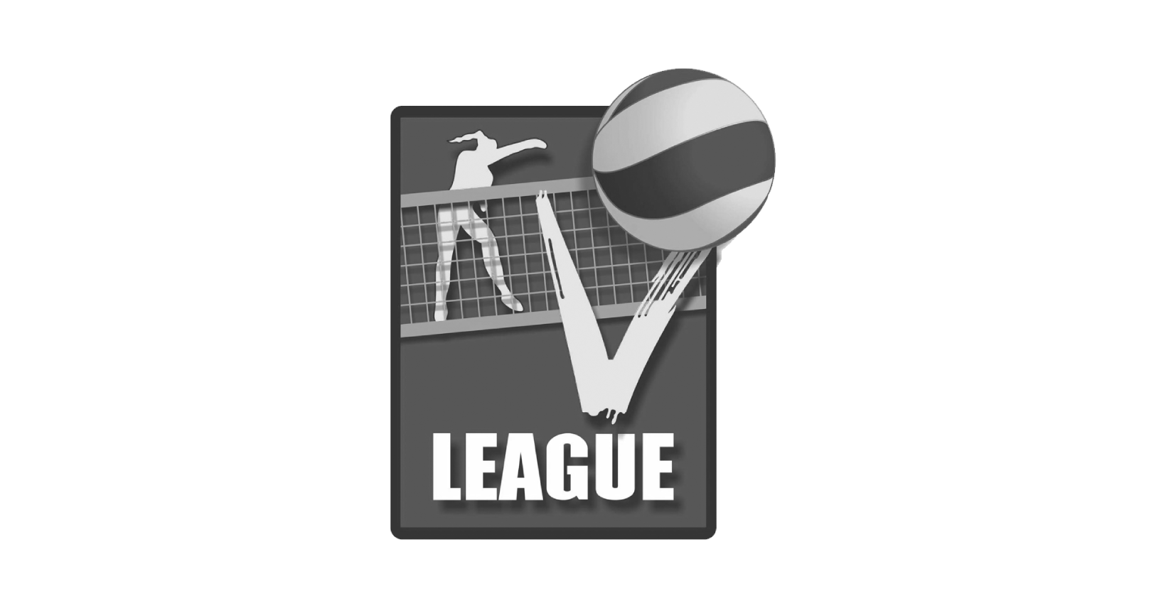 partner-vleague